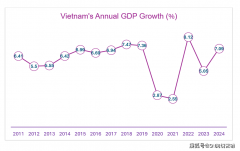 <b>越南经济演讲（2024）：P商业外国间接投资</b>